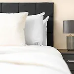 Brand New Luxury Apartment - 2 Bedroom - City Centre - Jq - Wifi - Netflix - 10Ah